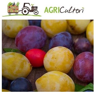 SUSINE - cestino da 1kg